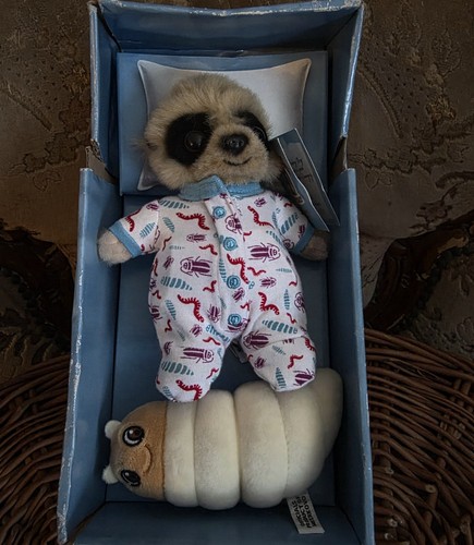 Compare the market meerkat - compare,