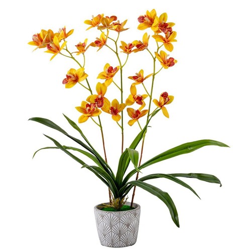 Forever flowerz cymbidium - forever,