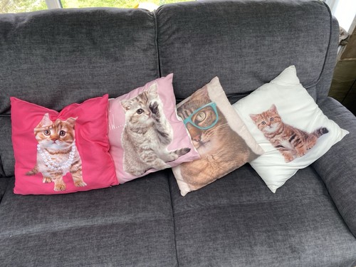 Set cat themed cushions - set, x