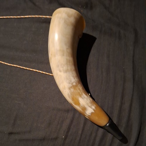Cow bull blowing horn - bull,