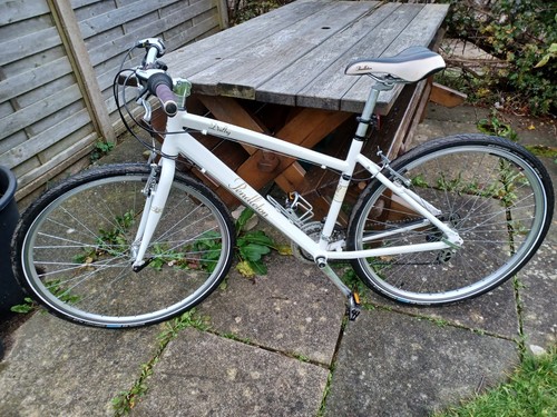 Hybrid bicycle - hybrid,