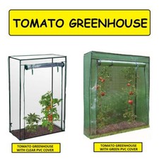 Tomato Greenhouse Outdoor Grow