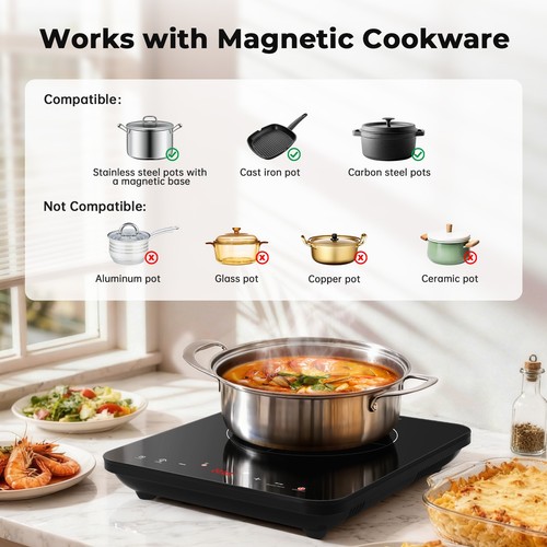 Portable induction range - portable,