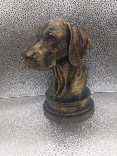 Hungarian vizsla bust - hungarian,