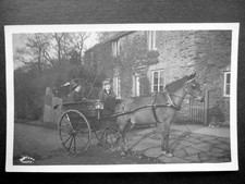 Ladies & Horse Drawn Governess