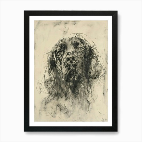 Sussex spaniel dog - sussex,