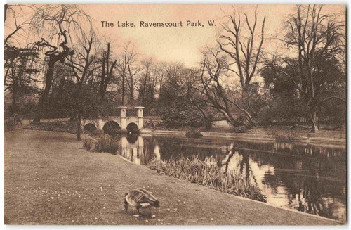 Ravenscourt park the lake - ravenscourt,