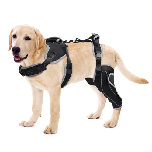 Dog knee brace acl ccl - brace,