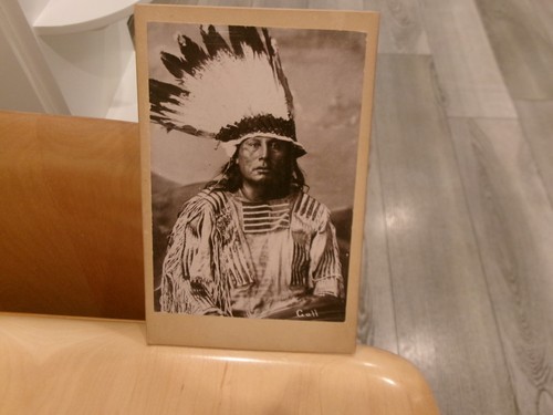 Sioux indian chief gall - chief,