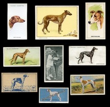 GREYHOUND DOG VINTAGE