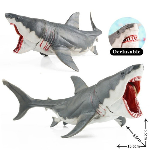 Large shark ocean animal - ocean,