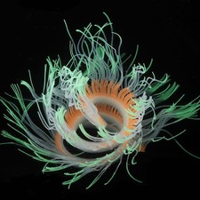 Aquarium Fish Tank Artificial