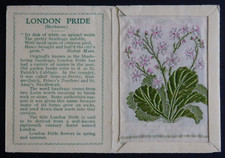 LONDON PRIDE Meekness Kensitas Silk Flower 2nd Series Medium
