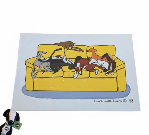 Brand new greyhound whippet - brand,