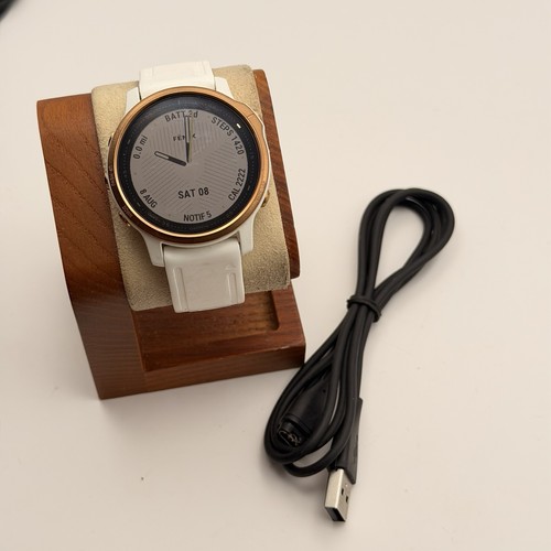 Garmin fenix pro white - white, &