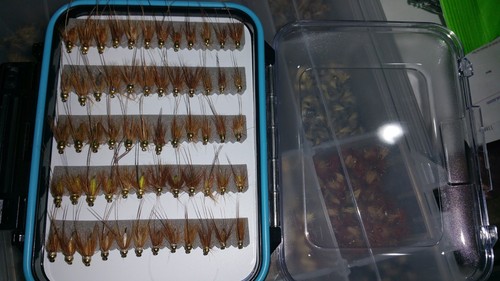 Soft hackle caddis wet - soft,
