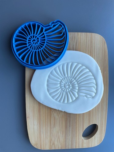Ammonite fossil cookie biscuit - cookie,