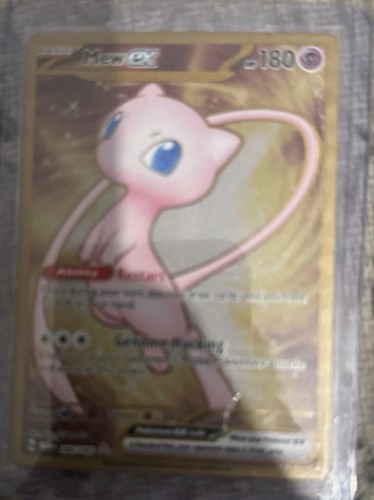 The pokémon company - the,