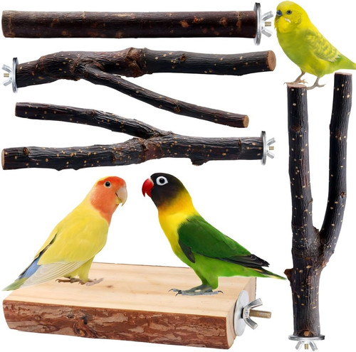 Bird toys parakeet perch - bird,