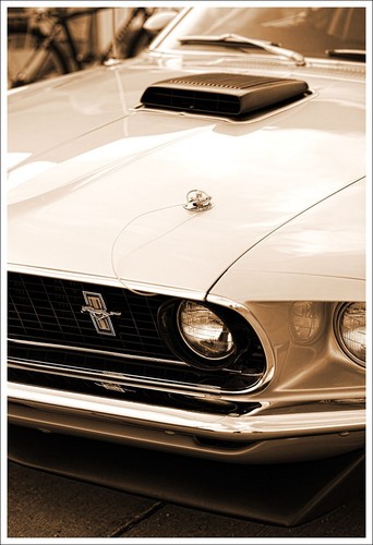 1969 ford mustang shelby - 1969,
