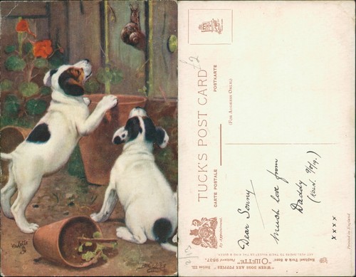 Tucks oilette when - oilette, dogs
