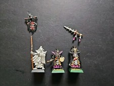 Warhammer Fantasy Dark Elf elves Black Guard Of Naggarond Full Command Metal