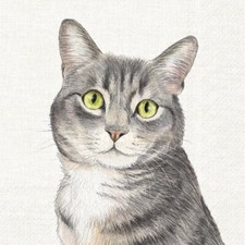 4 x Paper Napkins/3
