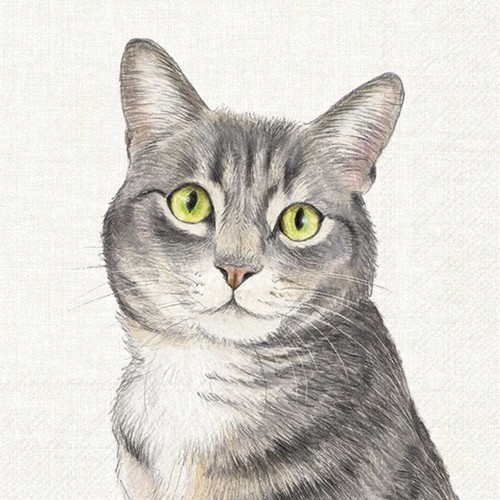 Paper napkins 3 - x, napkins/3