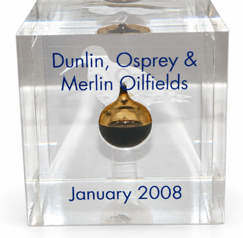 2008 dunlin osprey merlin - osprey,