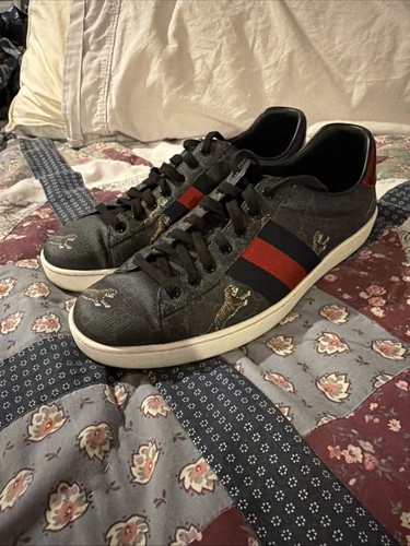 Gucci ace supreme tigers - ace, gg