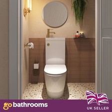 Toilet Basin Combo 2 in 1