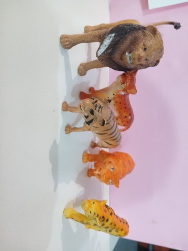 Assortment large cat - 5,