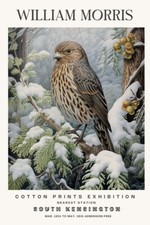 William Morris Bird on Pine