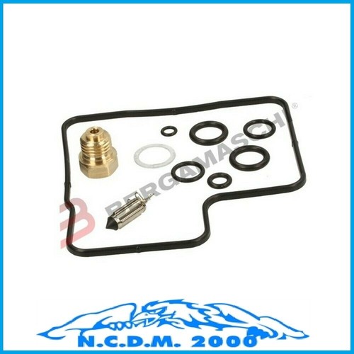 Carburetor revision kit ntv - carburetor,
