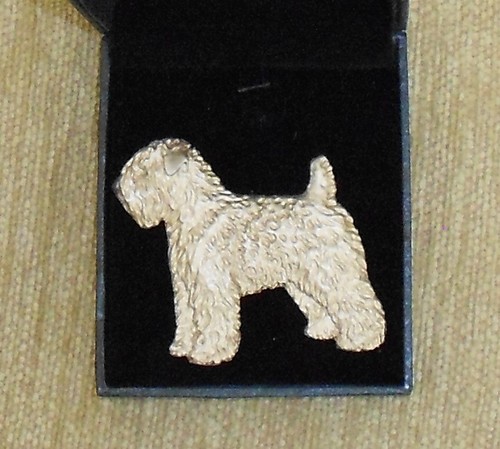 Soft coated wheaten terrier - coated,