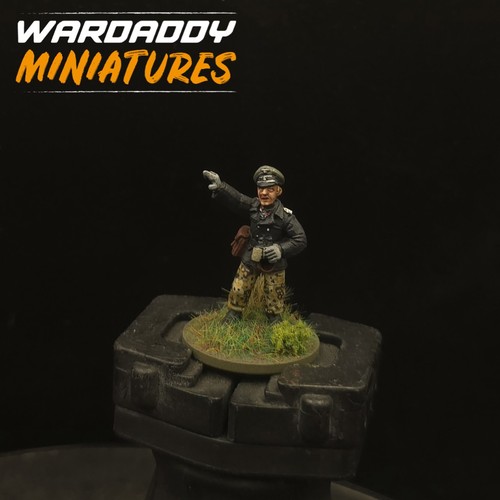 Pro painted 28mm - painted,