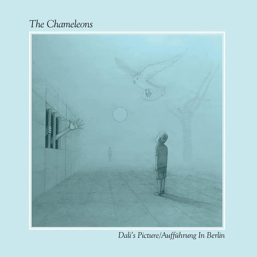 The chameleons dali - the, dali's