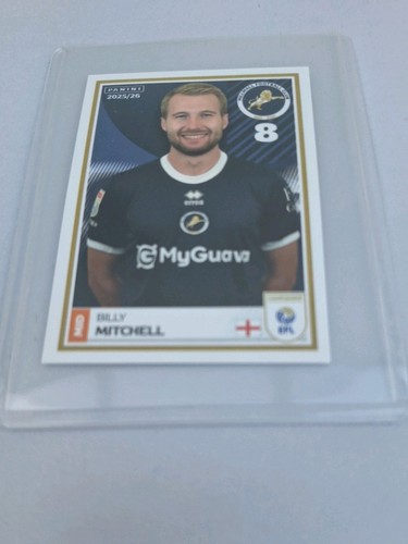 Panini efl 2025 - efl, sticker