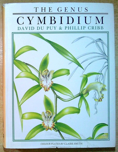Puy david cribb - cribb,, phillip
