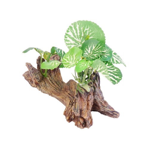 Green aquarium dead - green, dead-wood