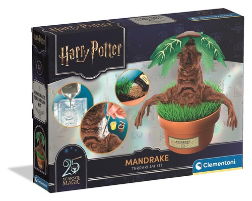 Harry potter mandrake - harry,