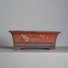 35cm Premium Unglazed Bonsai
