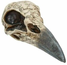 EDGARS RAVEN Skull Gothic