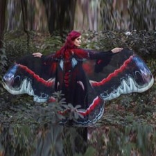 Cosplay Butterfly Wings Cape