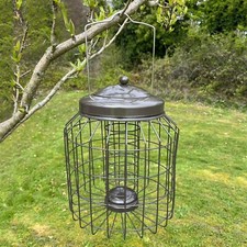 Squirrel proof hanging bird - squirrel,
