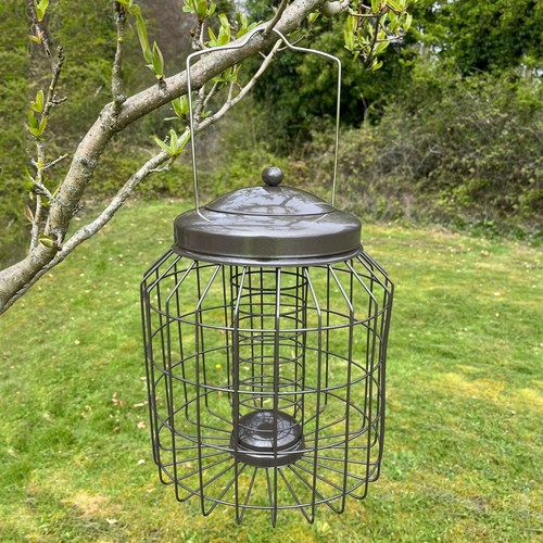 Squirrel proof hanging bird - proof,
