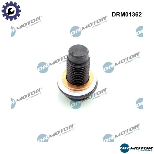 Screw plug oil - plug, drm01362