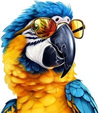 Blue gold macaw parrot - gold, bird