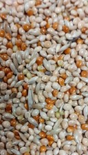 Premium Special Budgie 20/80 Mix Budgies Aviary, Various Sizes Available