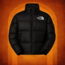 🎄 North Face 700 Puffer